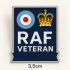 British Military Veteran Commemorative Pin Badge , RAF