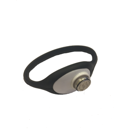 Non Magnetic IButton/ Till Key Watches