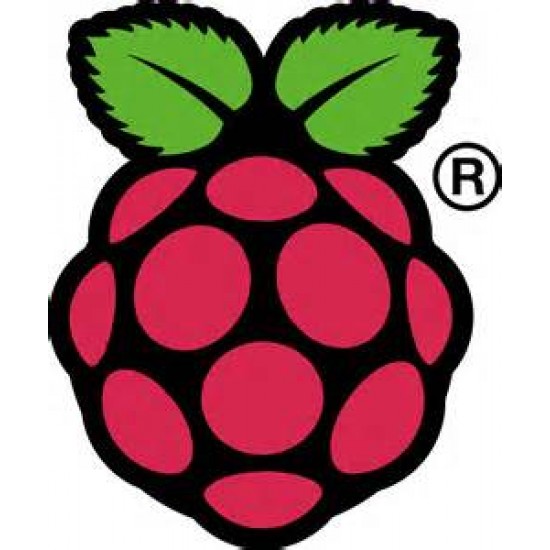 Rasperry PI - Model B